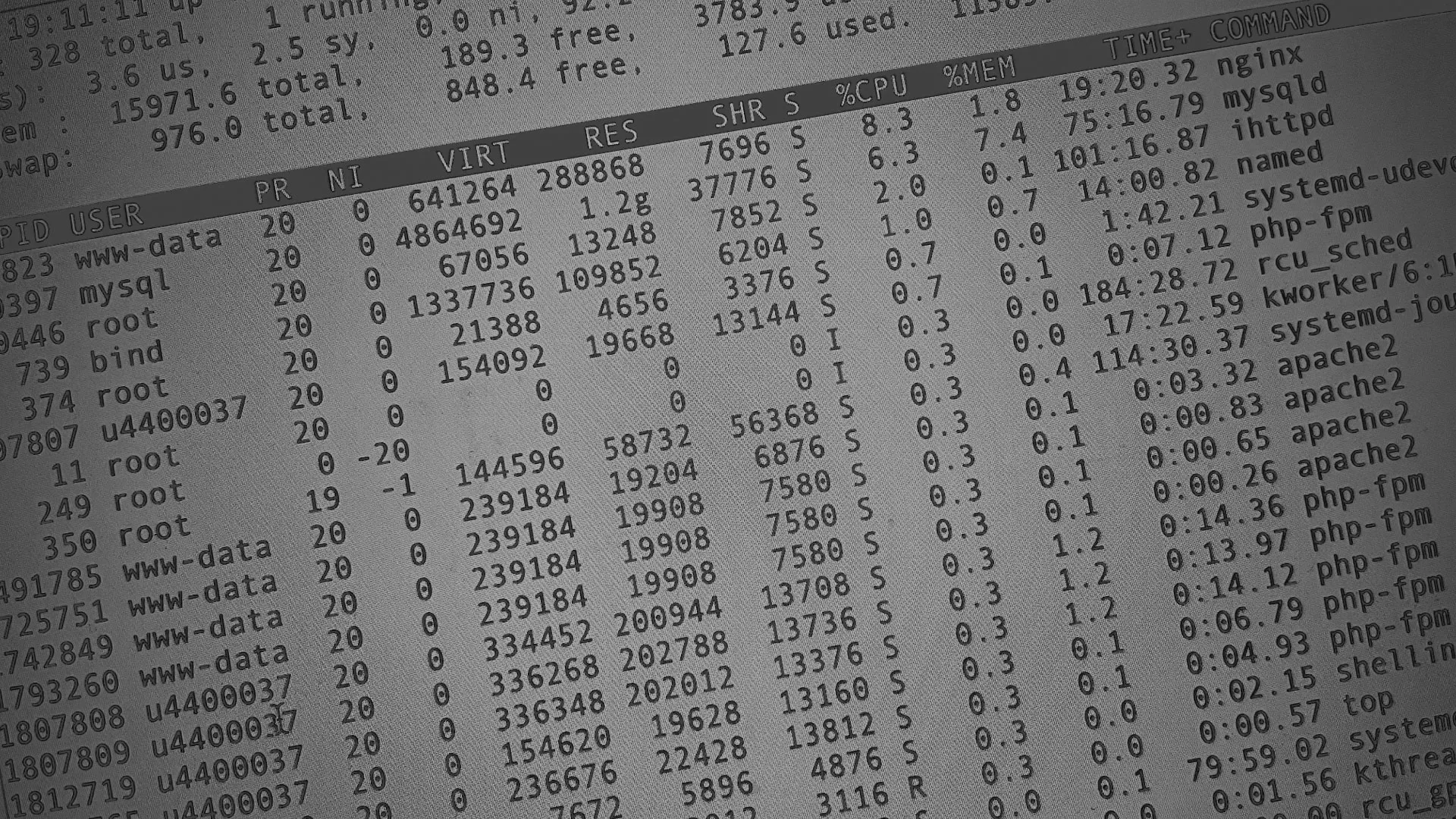 Настройка сервера в Нее