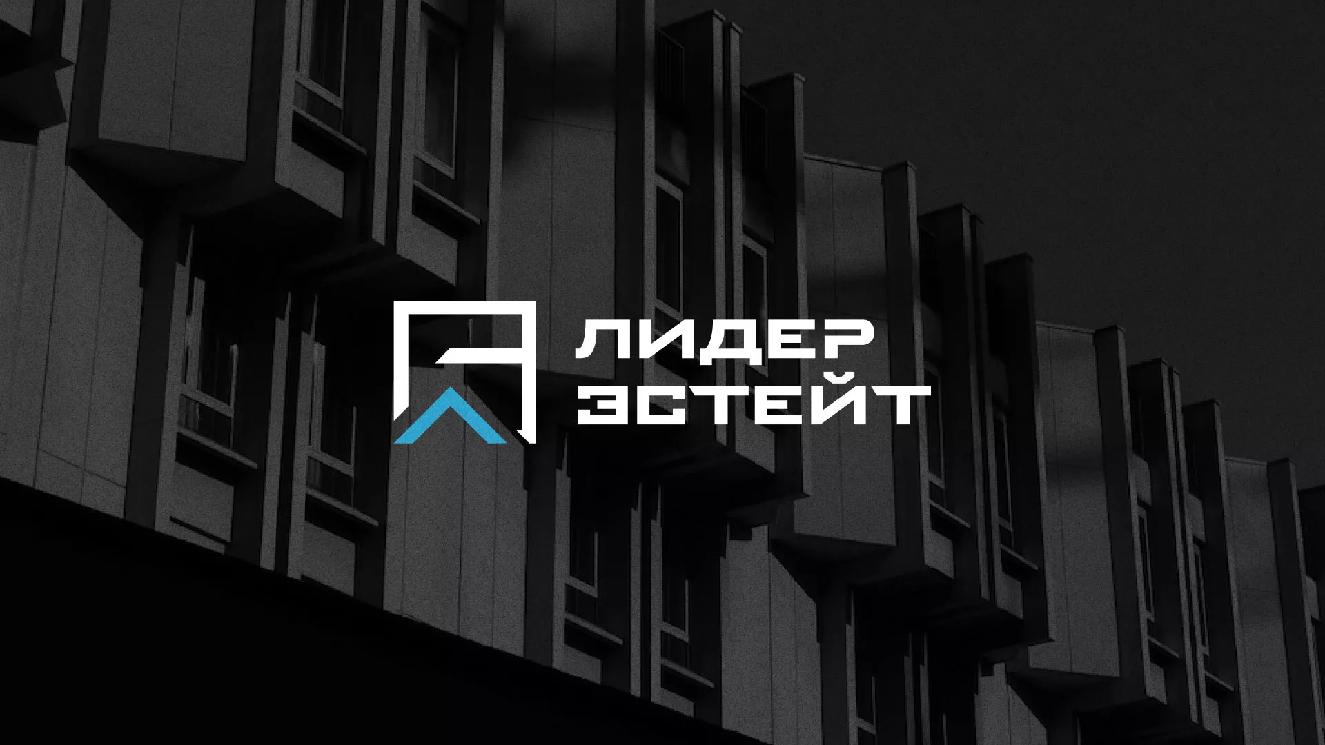 Разработка логотипа агентства недвижимости «Лидер Эстейт» в Нее